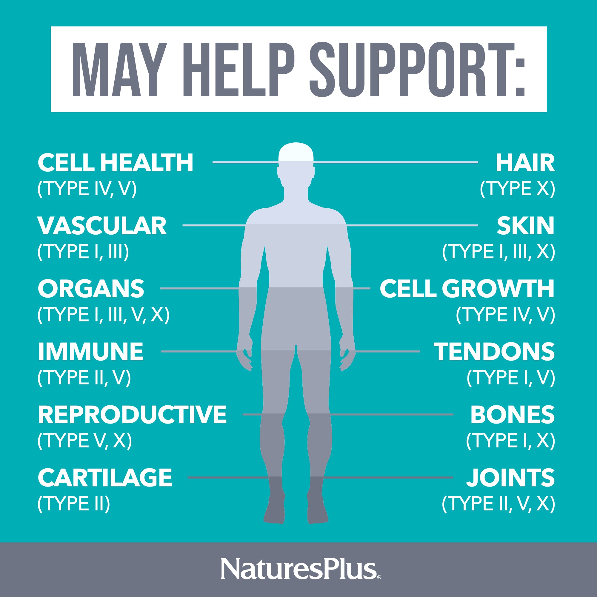 Collagen Peptides