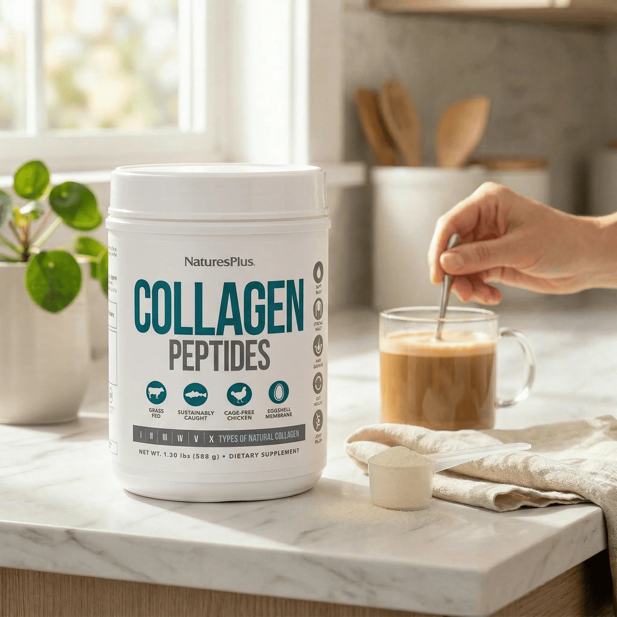 Collagen Peptides
