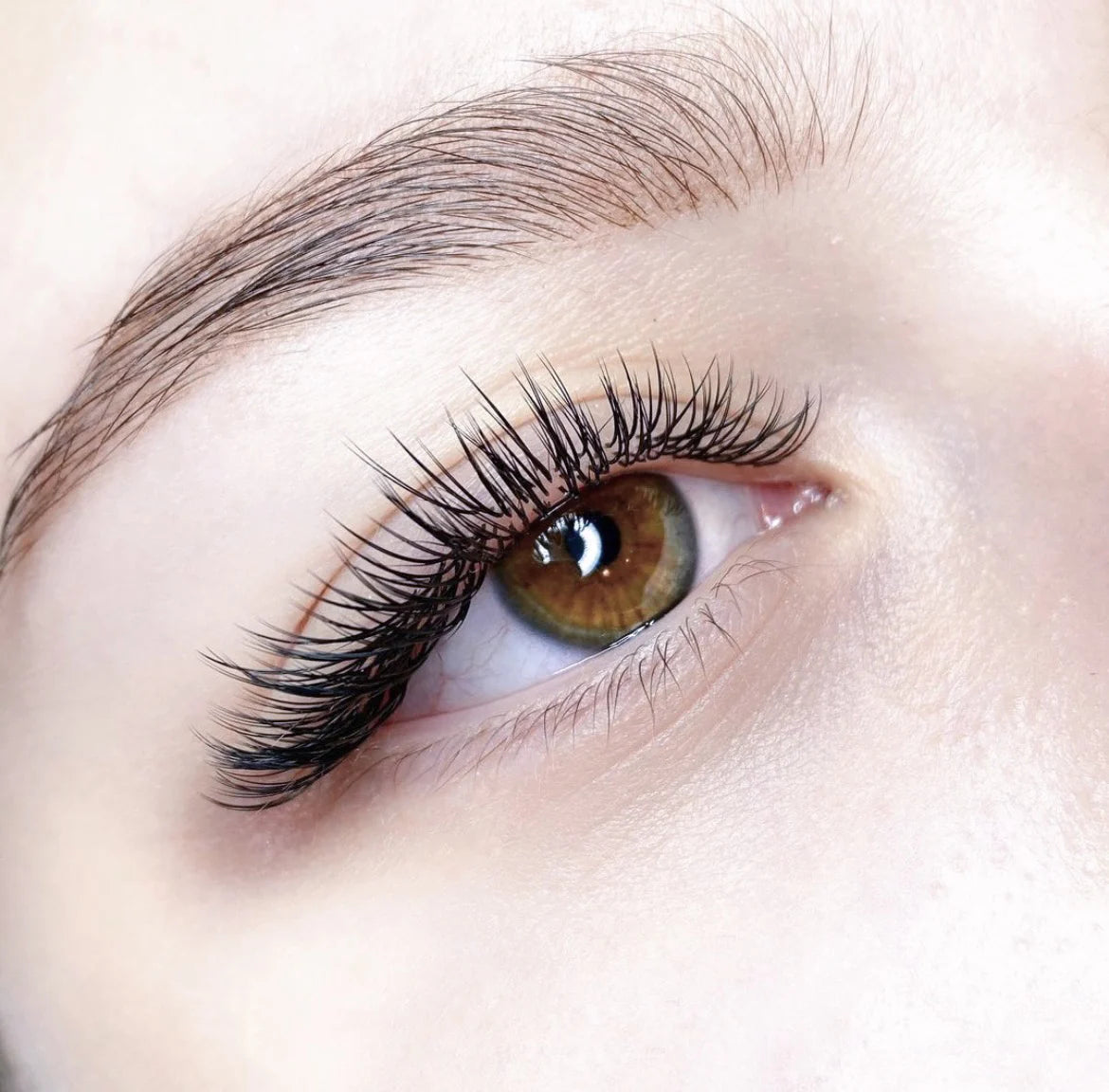 FLAT C CURL LASHES