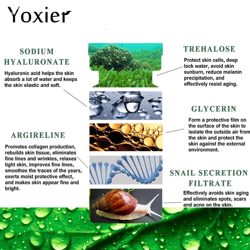 Anti-Aging Snails Concentrate Face Care Hyaluronic Acid Moisturizing Oil-Control Serum Snail Pure Extract Face Care 10Ml